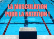 La musculation pour la natation